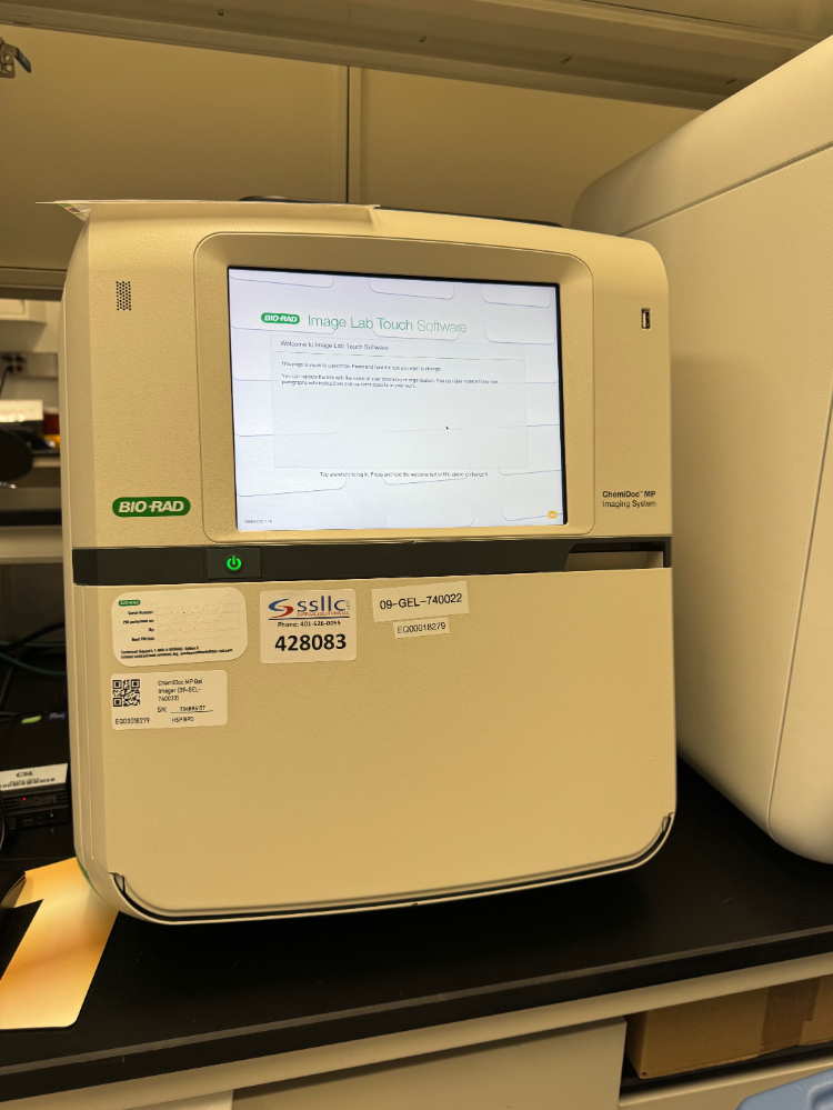 Image of Bio-Rad ChemiDoc MP Imaging System